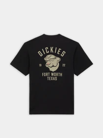 Футболки і поло Dickies Panther модель DK0A4Z4IBLK1 Фото