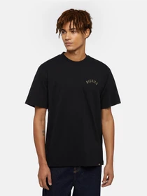 Футболки і поло Dickies Panther модель DK0A4Z4IBLK1 Фото