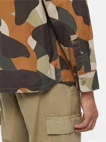 Рубашки Dickies Camo Canvas Work модель DK0A864U0IP1 Фото