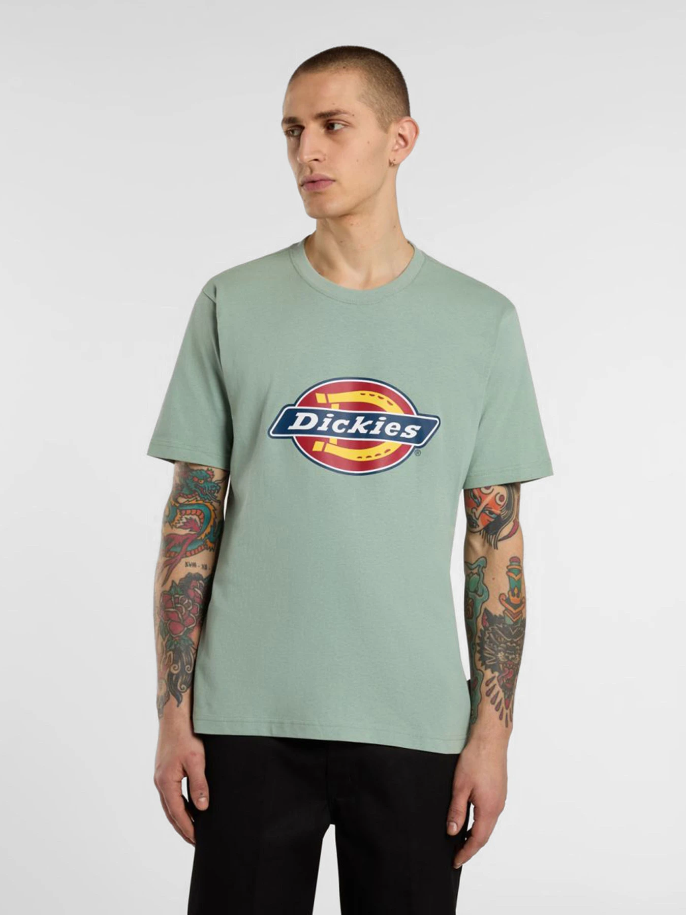 Футболки і поло Dickies Icon Logo модель DK0A4XC9K361 Фото