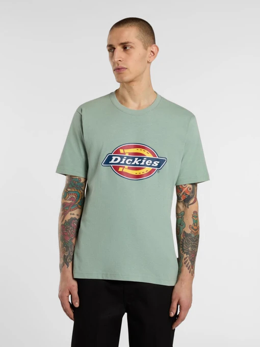 Футболки і поло Dickies Icon Logo модель DK0A4XC9K361 Фото