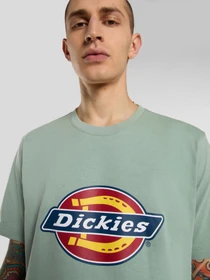 Футболки і поло Dickies Icon Logo модель DK0A4XC9K361 Фото