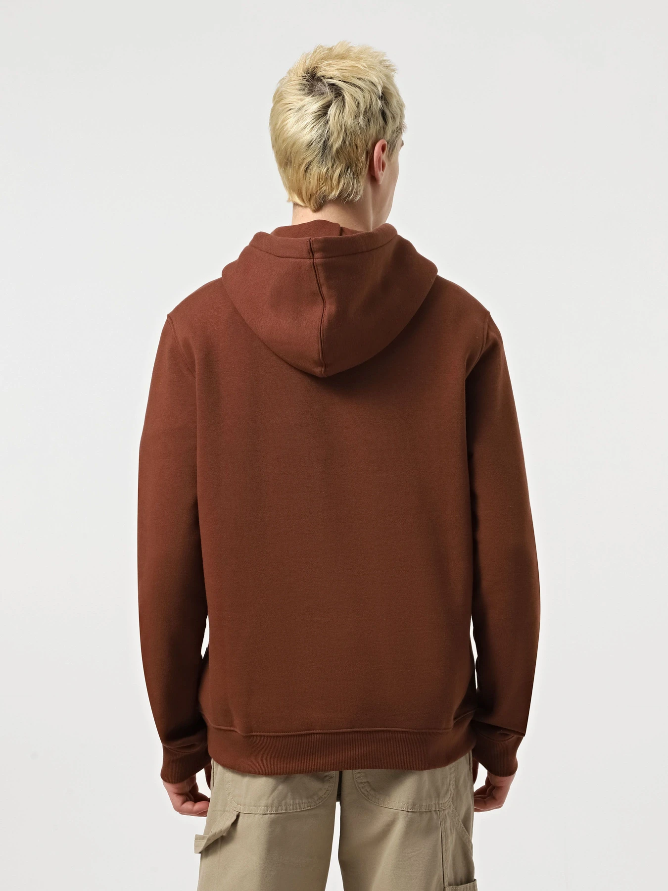 Худі та світшоти Dickies Oakport модель DK0A4XCDK471 Худі та світшоти Dickies Oakport модель DK0A4XCDK471 Фото