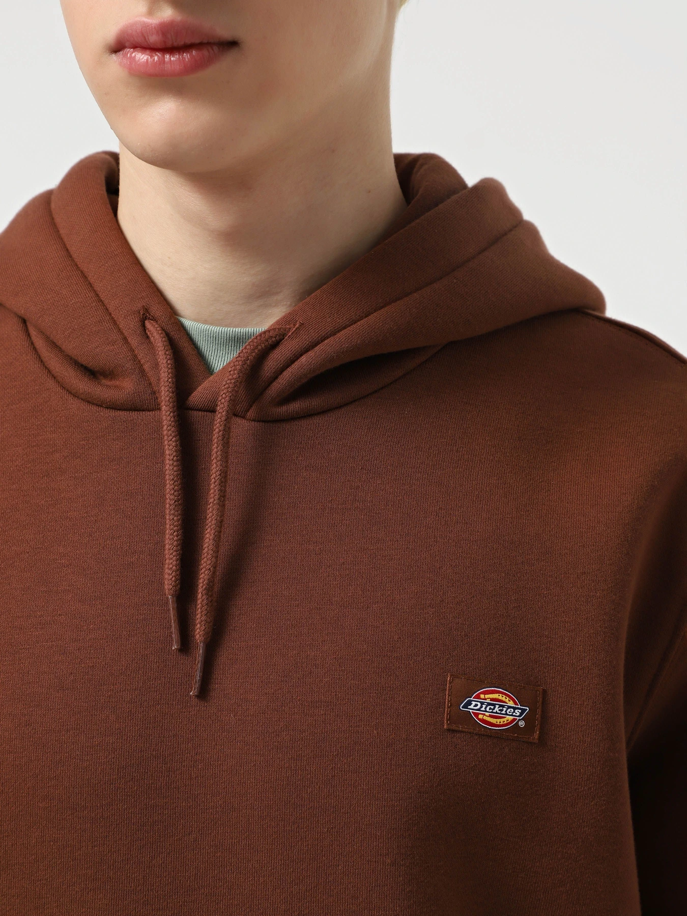 Худі та світшоти Dickies Oakport модель DK0A4XCDK471 Худі та світшоти Dickies Oakport модель DK0A4XCDK471 Фото