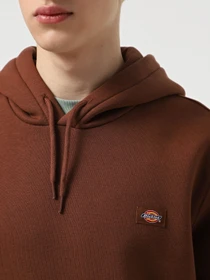 Худі та світшоти Dickies Oakport модель DK0A4XCDK471 Фото