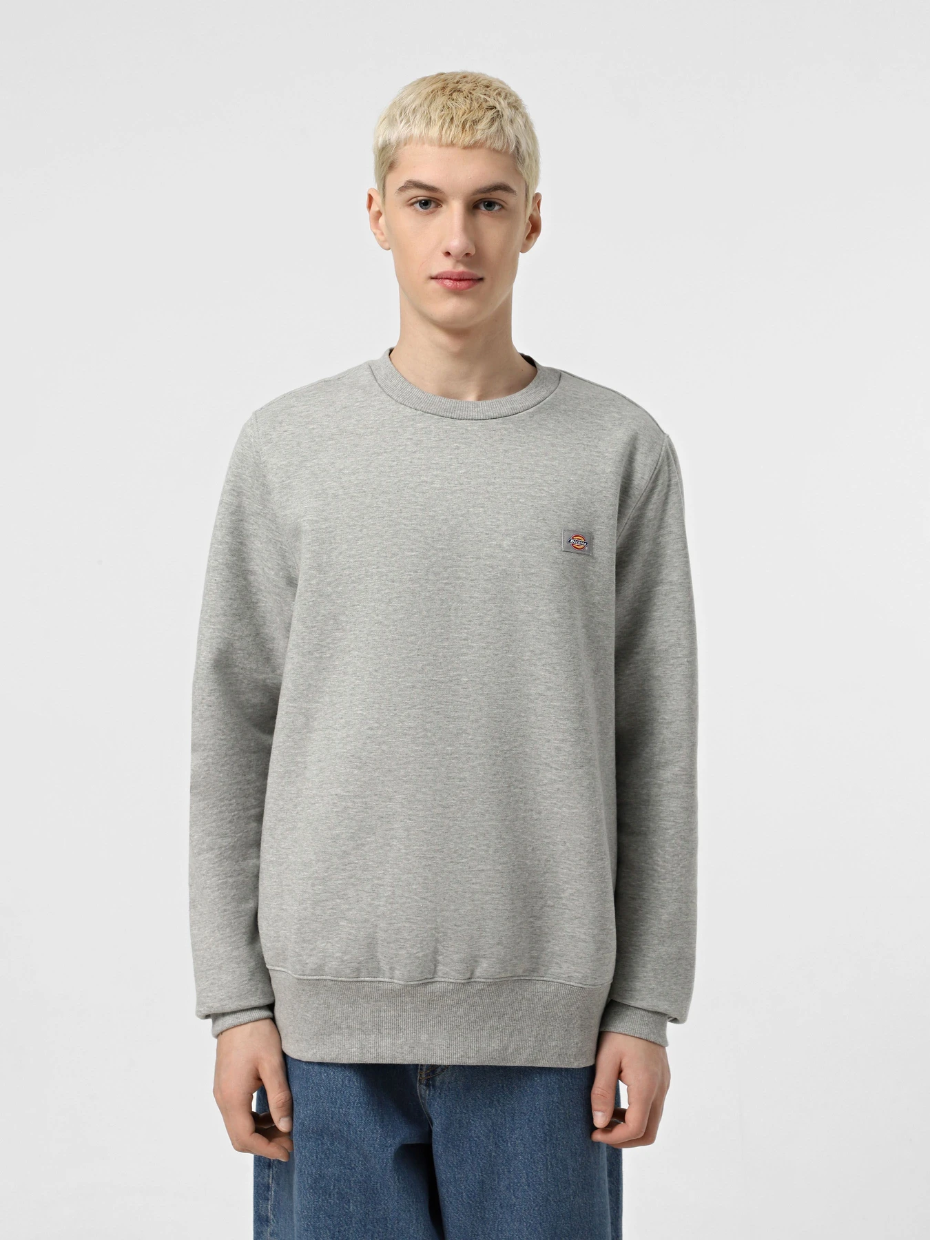 Худі та світшоти Dickies Oakport Crew модель DK0A4XCEHG01 Фото