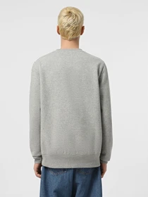 Худі та світшоти Dickies Oakport Crew модель DK0A4XCEHG01 Фото