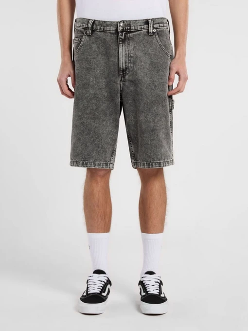 Шорти Dickies Garyville модель DK0A4XCKJ811 Фото