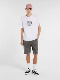Шорти Dickies Garyville модель DK0A4XCKJ811 Фото