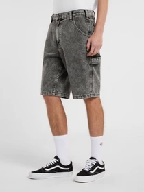 Шорти Dickies Garyville модель DK0A4XCKJ811 Фото