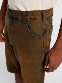Шорты Dickies Garyville модель DK0A4XCKK591 Фото