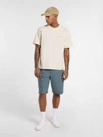 Шорты Dickies Duck Canvas модель DK0A4XNGG701 Фото