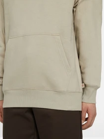 Худи и свитшоты Dickies Summerdale модель DK0A4Y6PSS01 Фото