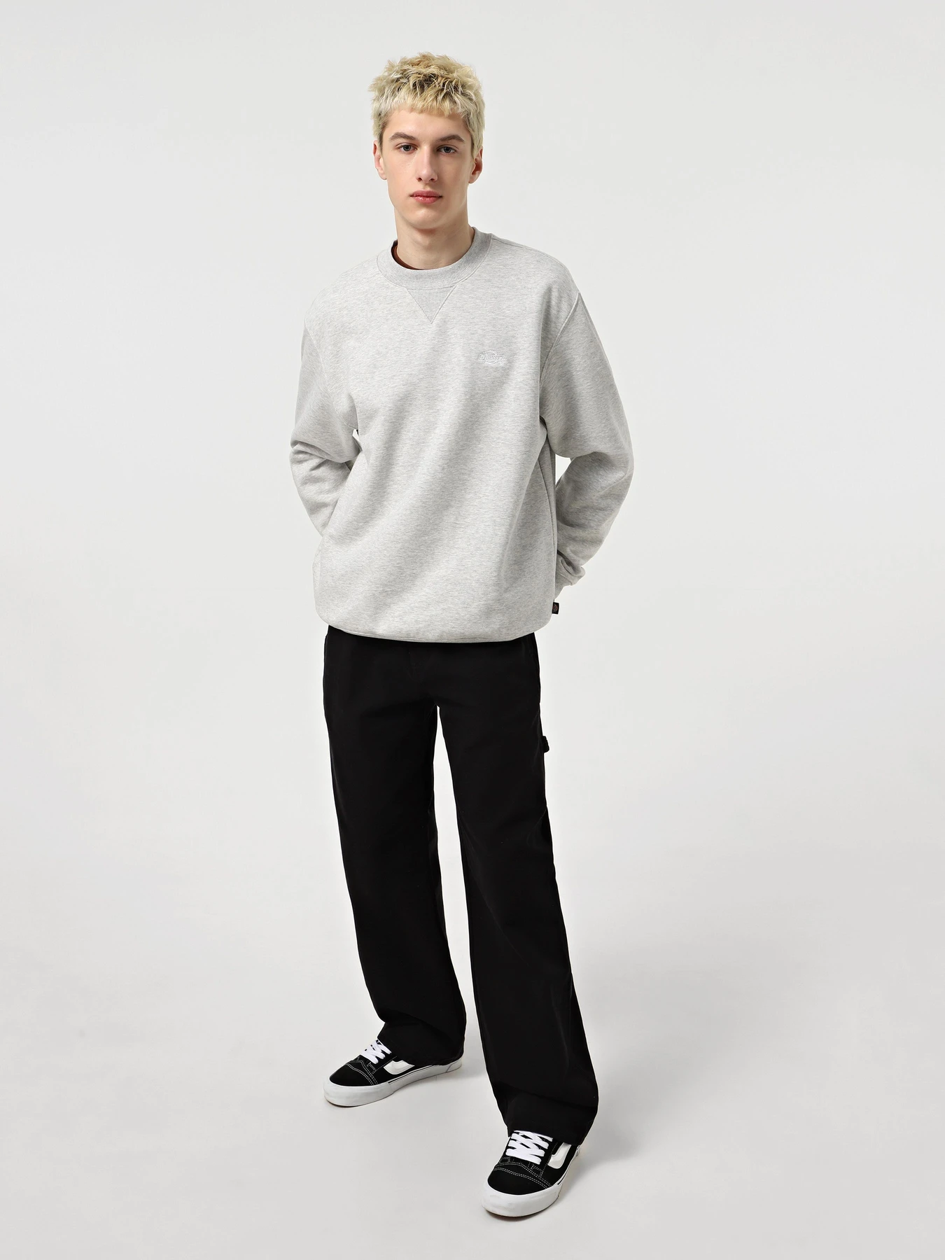 Худи и свитшоты Dickies Summerdale модель DK0A4Y6QA281 Фото