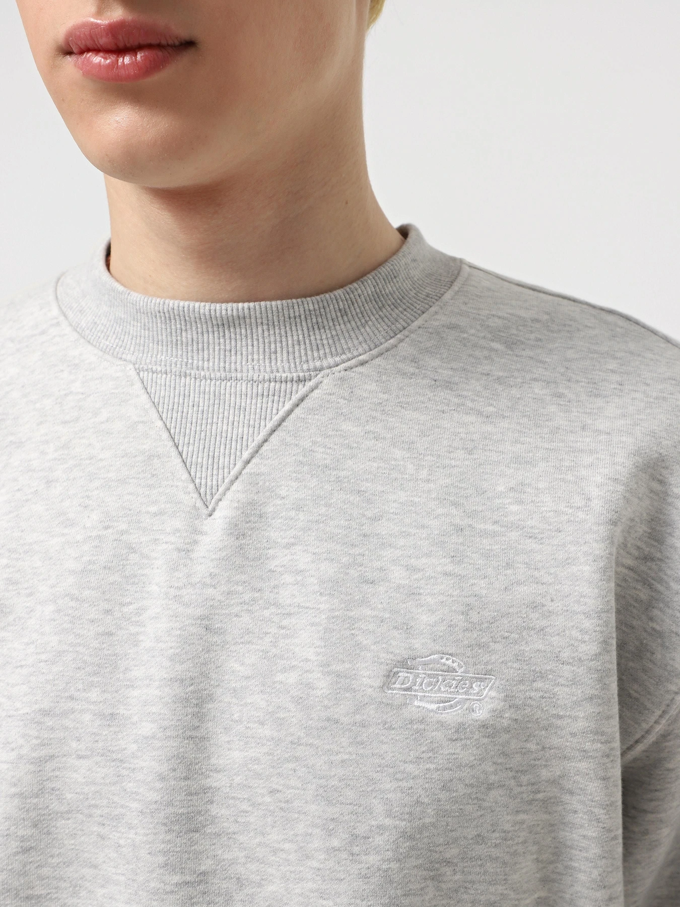 Худи и свитшоты Dickies Summerdale модель DK0A4Y6QA281 Фото