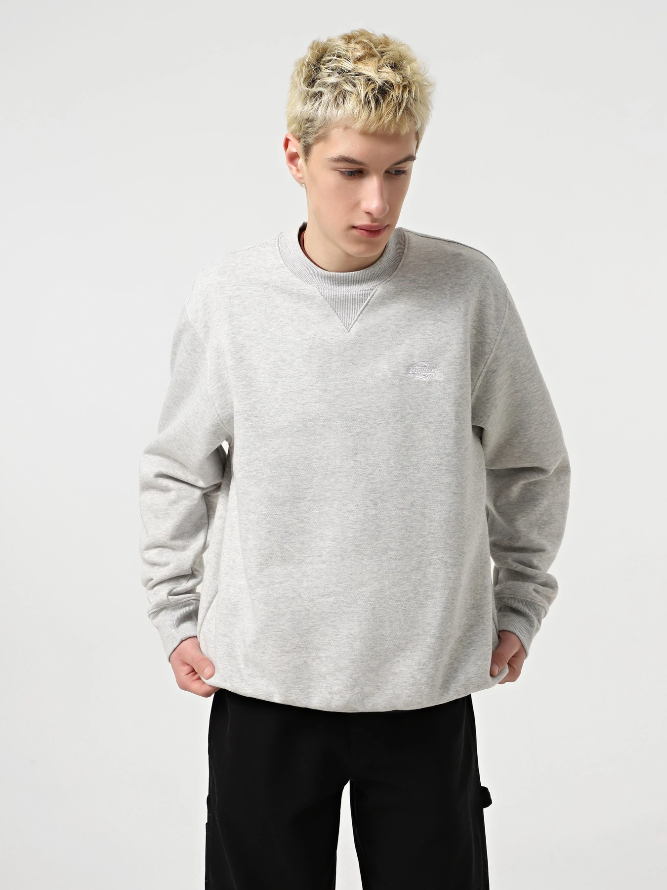Худи и свитшоты Dickies Summerdale модель DK0A4Y6QA281 Фото