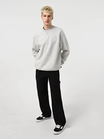 Худи и свитшоты Dickies Summerdale модель DK0A4Y6QA281 Фото