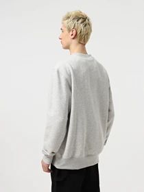 Худи и свитшоты Dickies Summerdale модель DK0A4Y6QA281 Фото