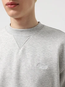 Худи и свитшоты Dickies Summerdale модель DK0A4Y6QA281 Фото
