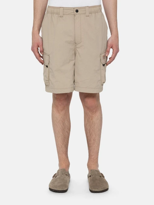 Шорты Dickies Jackson модель DK0A4YACSS01 Фото