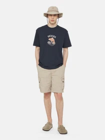 Шорты Dickies Jackson модель DK0A4YACSS01 Фото
