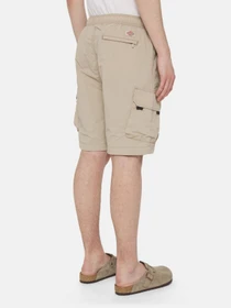 Шорты Dickies Jackson модель DK0A4YACSS01 Фото