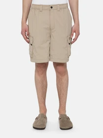 Шорты Dickies Jackson модель DK0A4YACSS01 Фото