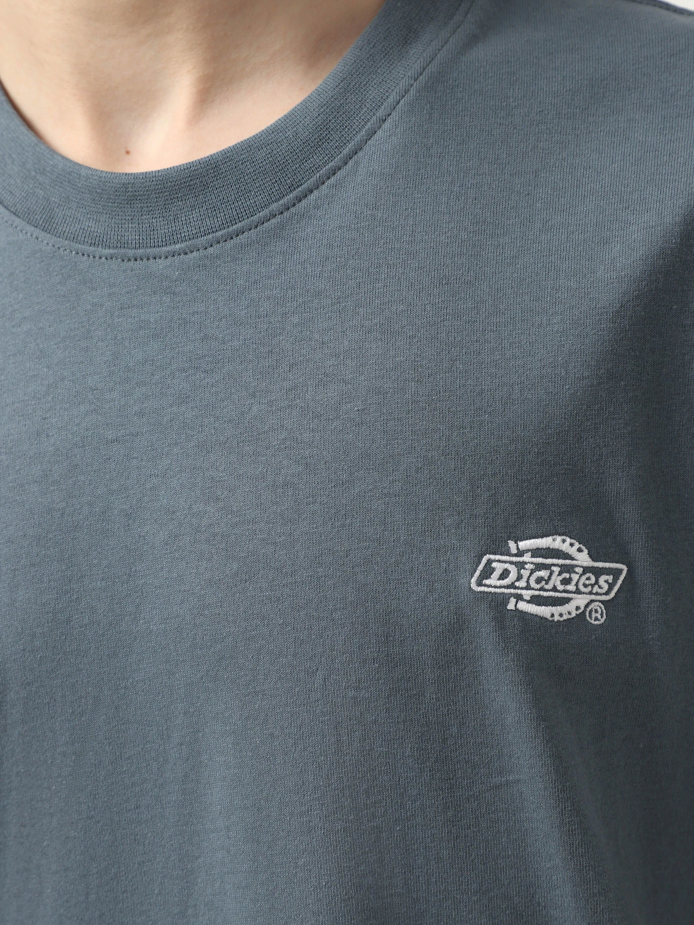Футболки і поло Dickies Summerdale модель DK0A4YAIG701 Футболки і поло Dickies Summerdale модель DK0A4YAIG701 Фото