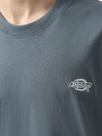 Футболки і поло Dickies Summerdale модель DK0A4YAIG701 Фото