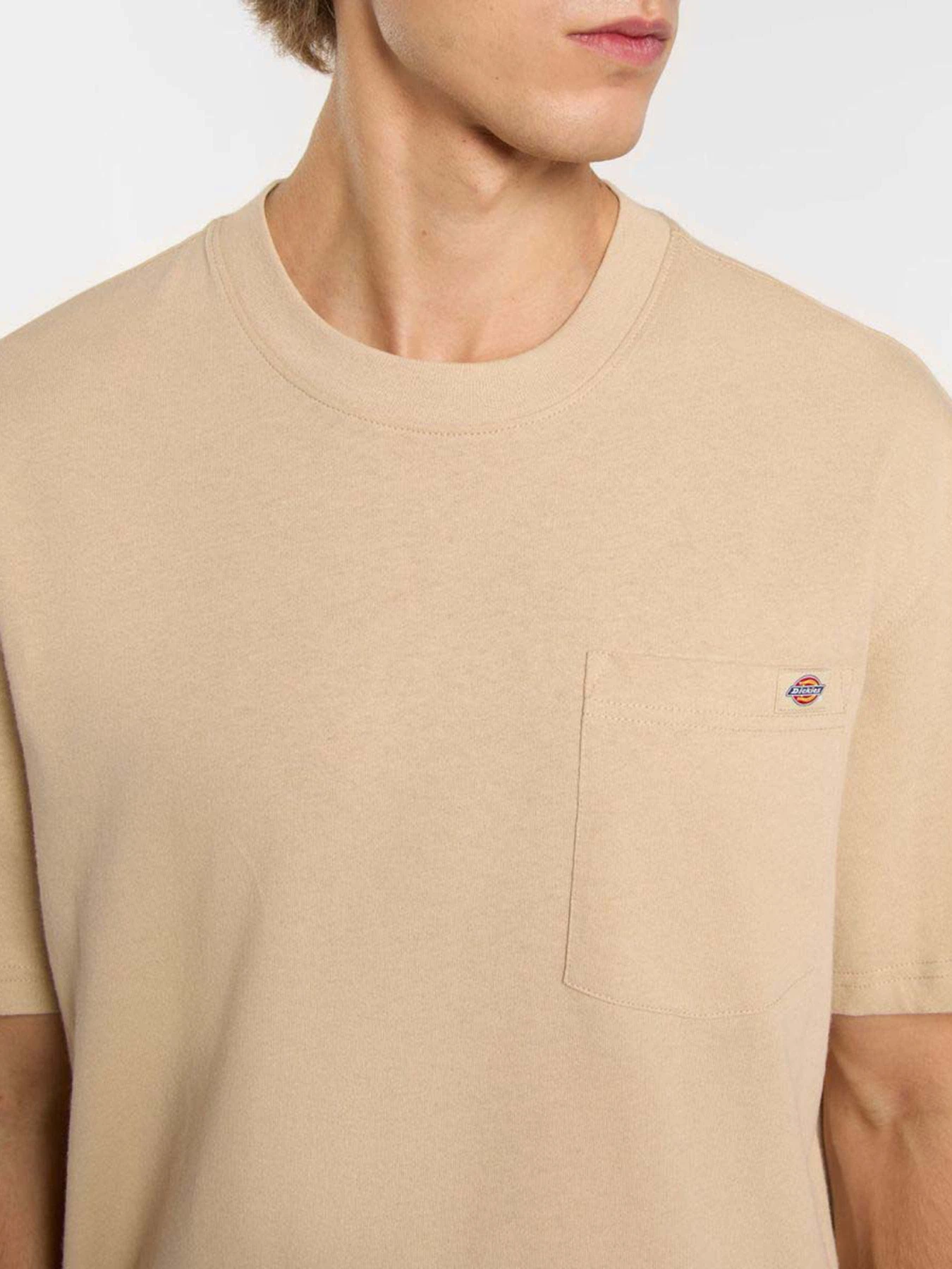 Футболки і поло Dickies Luray Pocket модель DK0A4YFCF951 Футболки і поло Dickies Luray Pocket модель DK0A4YFCF951 Фото