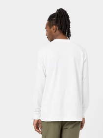 Худі та світшоти Dickies Luray Pocke модель DK0A4YGHWHX1 Фото