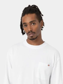 Худі та світшоти Dickies Luray Pocke модель DK0A4YGHWHX1 Фото