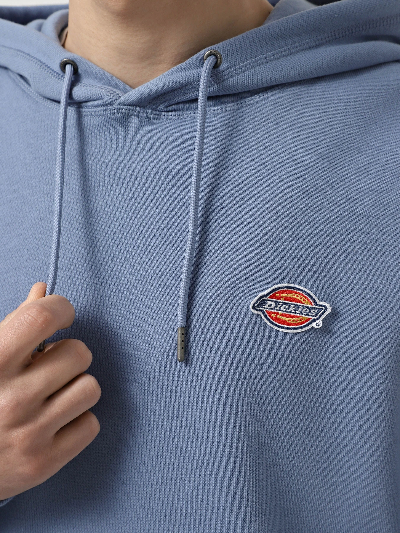 Худі та світшоти Dickies Millersburg модель DK0A4YLYK371 Фото