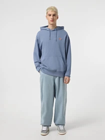 Худі та світшоти Dickies Millersburg модель DK0A4YLYK371 Фото
