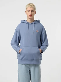 Худі та світшоти Dickies Millersburg модель DK0A4YLYK371 Фото