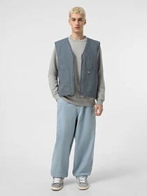Куртки и дубленки Dickies Duck Canvas Summer модель DK0A4YQKG701 Фото