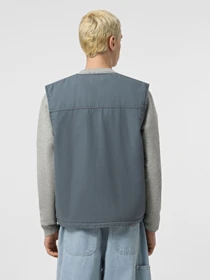 Куртки и дубленки Dickies Duck Canvas Summer модель DK0A4YQKG701 Фото