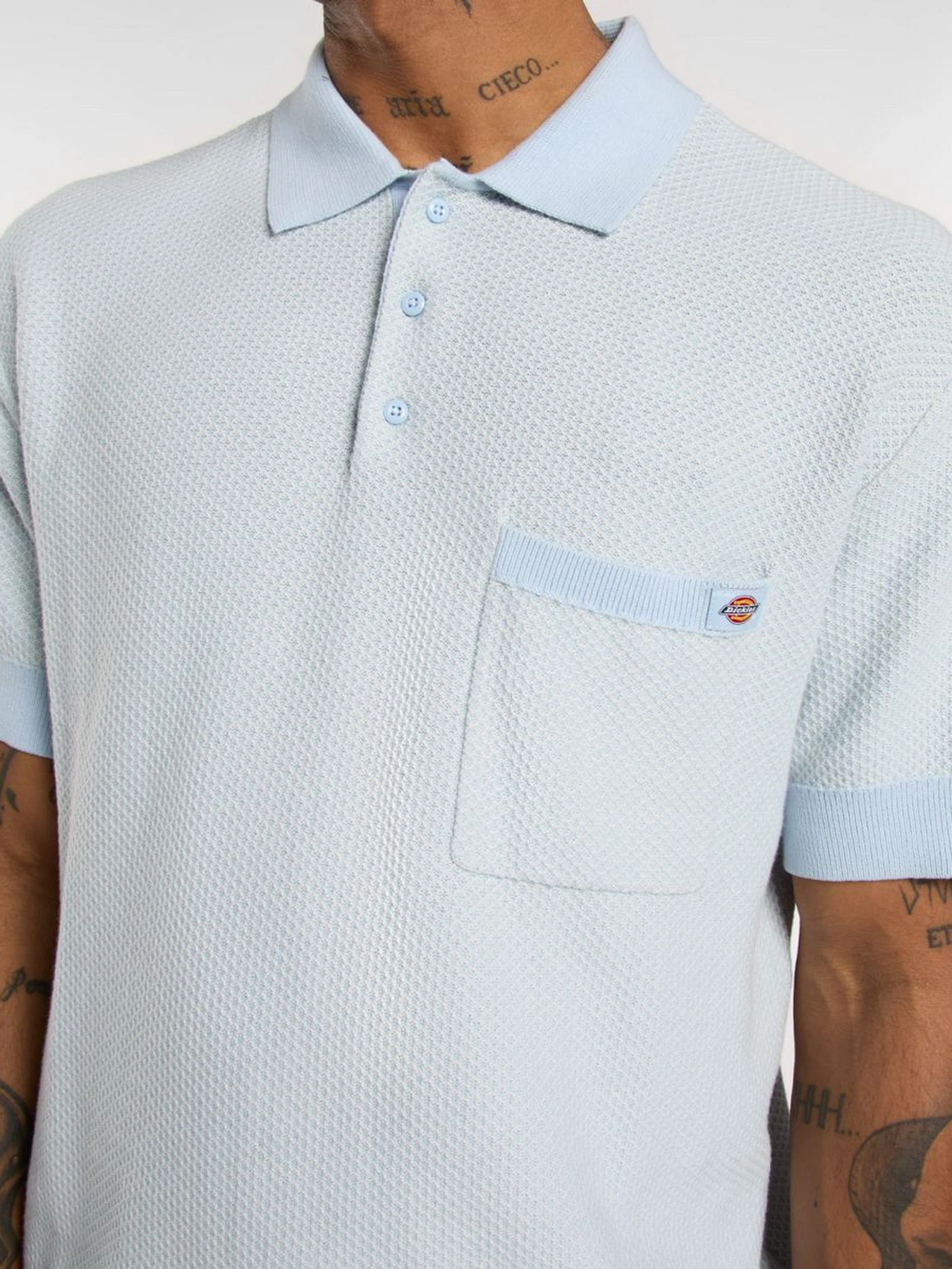 Футболки і поло Dickies Rocky Knit модель DK0A4Z7AF901 Футболки і поло Dickies Rocky Knit модель DK0A4Z7AF901 Фото