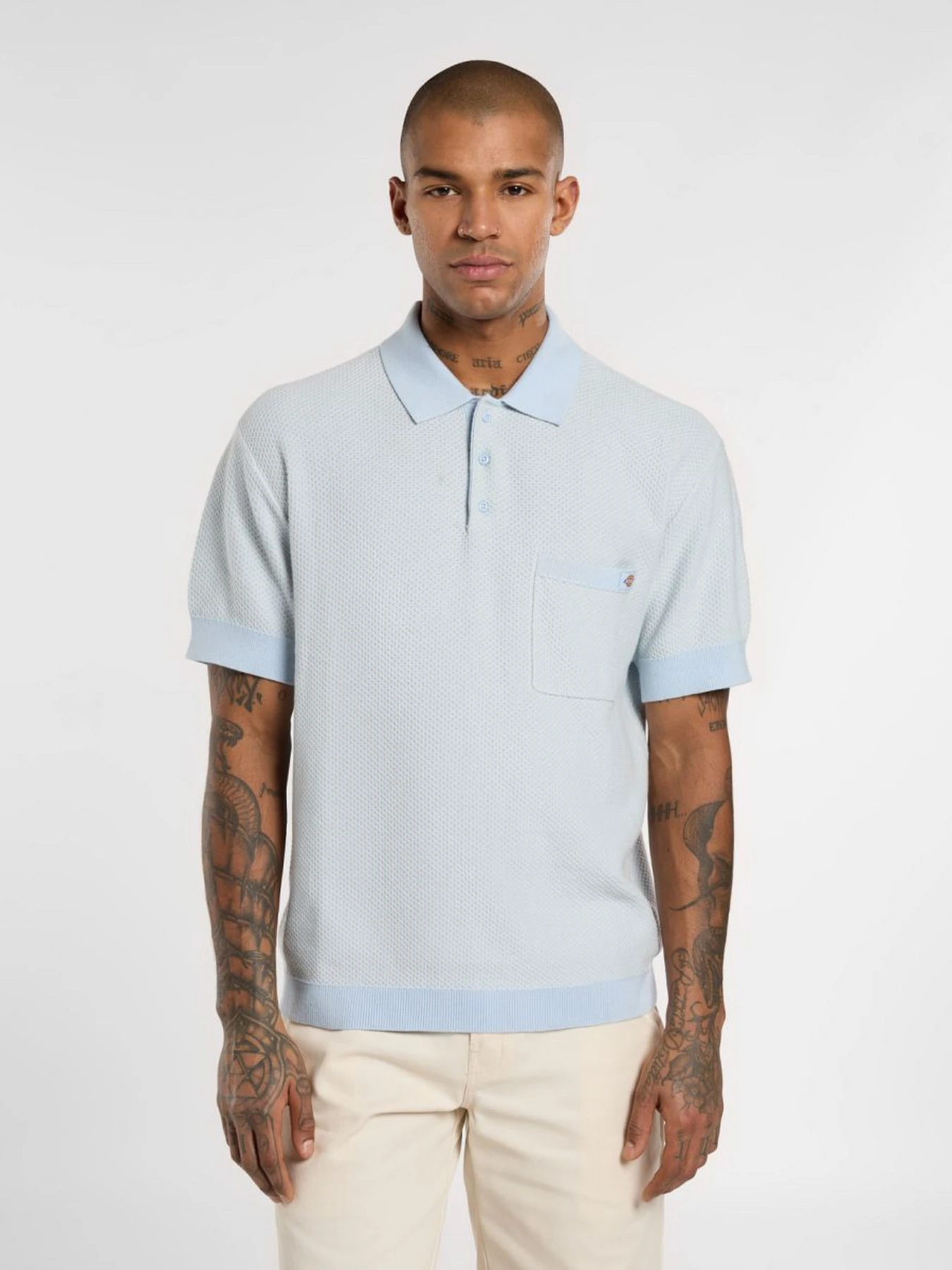 Футболки і поло Dickies Rocky Knit модель DK0A4Z7AF901 Футболки і поло Dickies Rocky Knit модель DK0A4Z7AF901 Фото