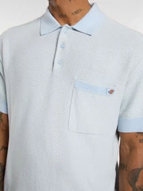 Футболки і поло Dickies Rocky Knit модель DK0A4Z7AF901 Фото