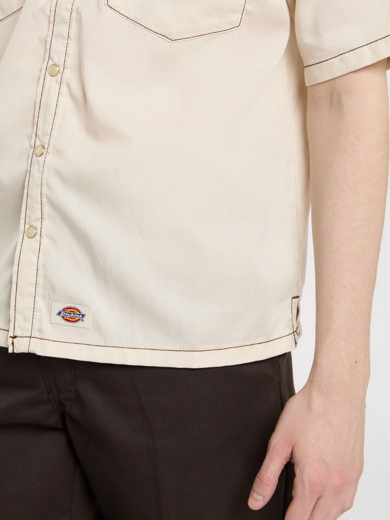 Рубашки Dickies River Ranch модель DK0A4Z7MF901 Рубашки Dickies River Ranch модель DK0A4Z7MF901 Фото
