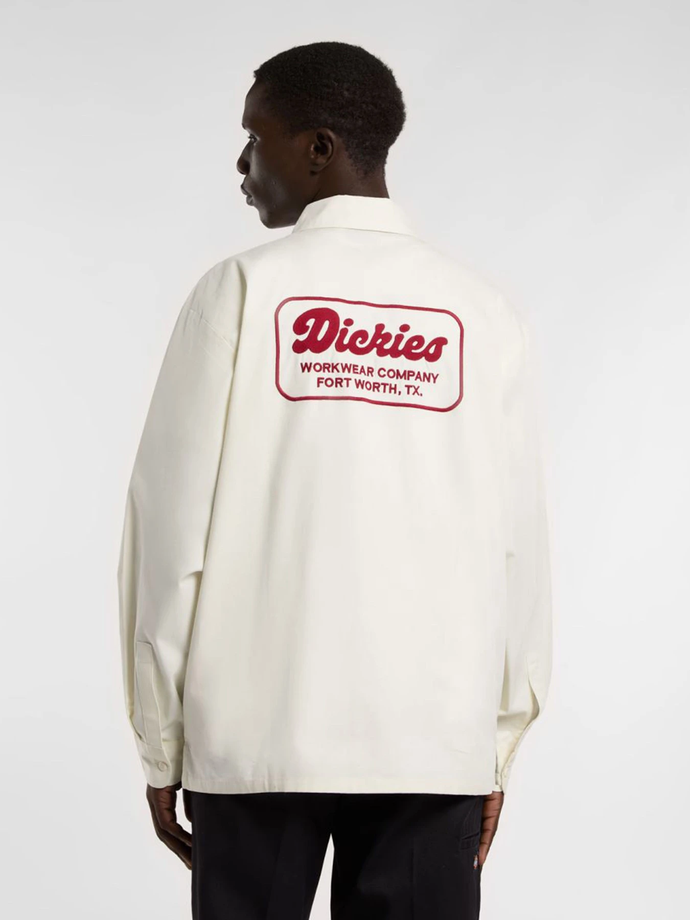 Рубашки Dickies Lewistown модель DK0A4Z7PC481 Фото