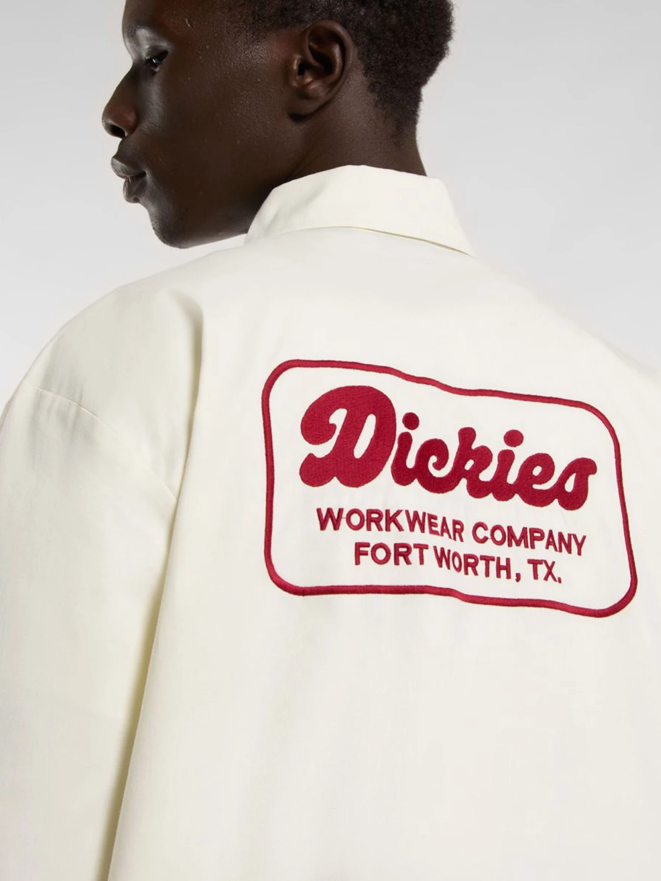 Рубашки Dickies Lewistown модель DK0A4Z7PC481 Фото