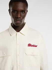 Рубашки Dickies Lewistown модель DK0A4Z7PC481 Фото