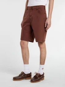 Шорты Dickies River Ranch модель DK0A4Z7ZK471 Фото