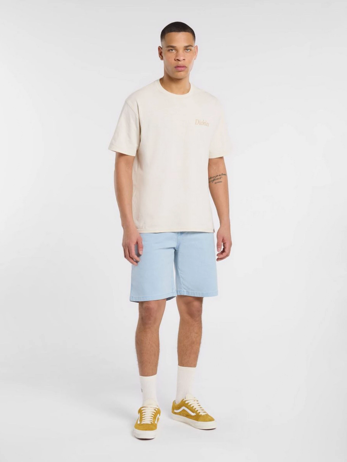 Шорти Dickies River Ranch модель DK0A4Z7ZK541 Шорти Dickies River Ranch модель DK0A4Z7ZK541 Фото