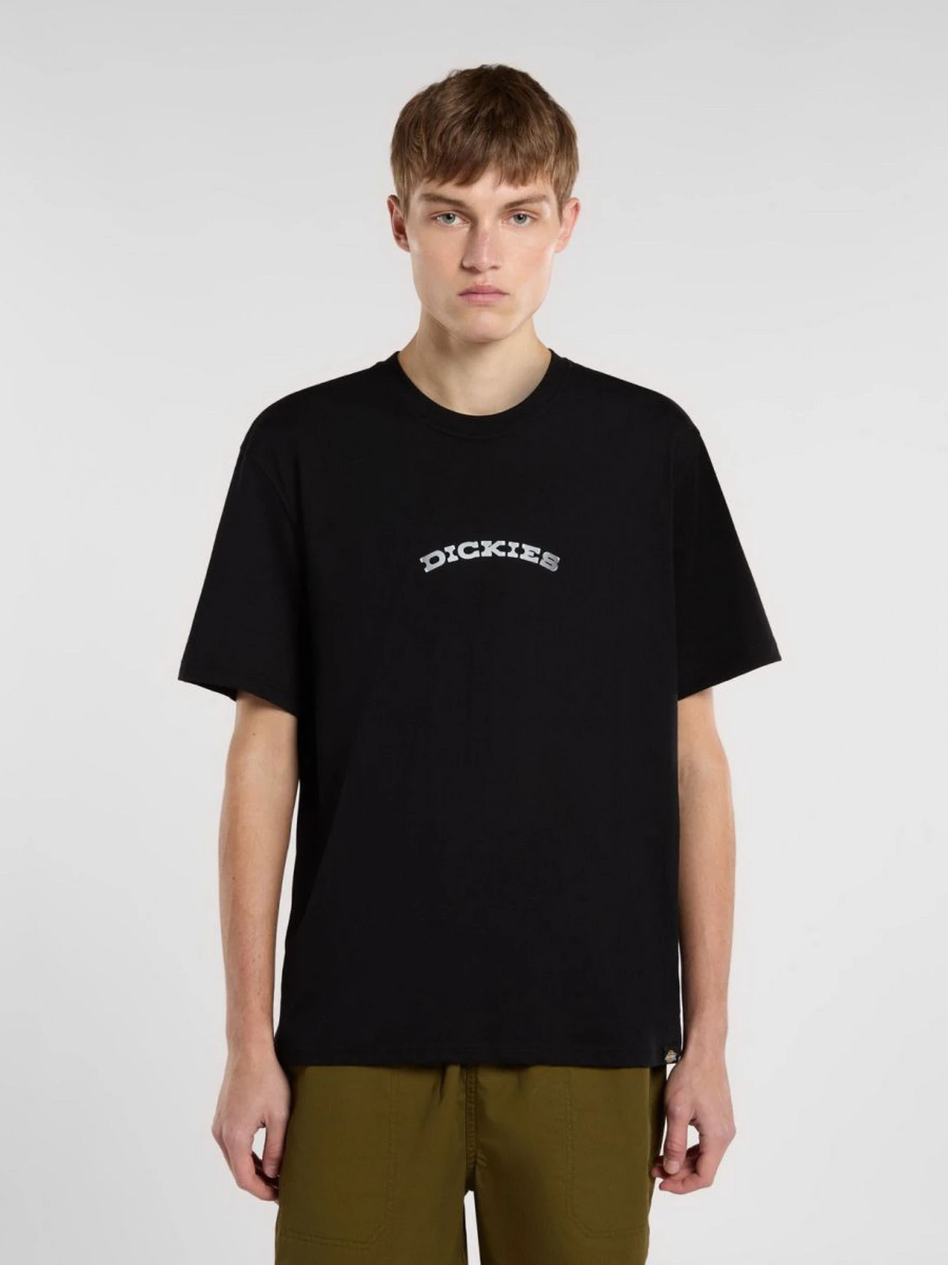 Футболки і поло Dickies Outdoor модель DK0A4Z8PBLK1 Футболки і поло Dickies Outdoor модель DK0A4Z8PBLK1 Фото