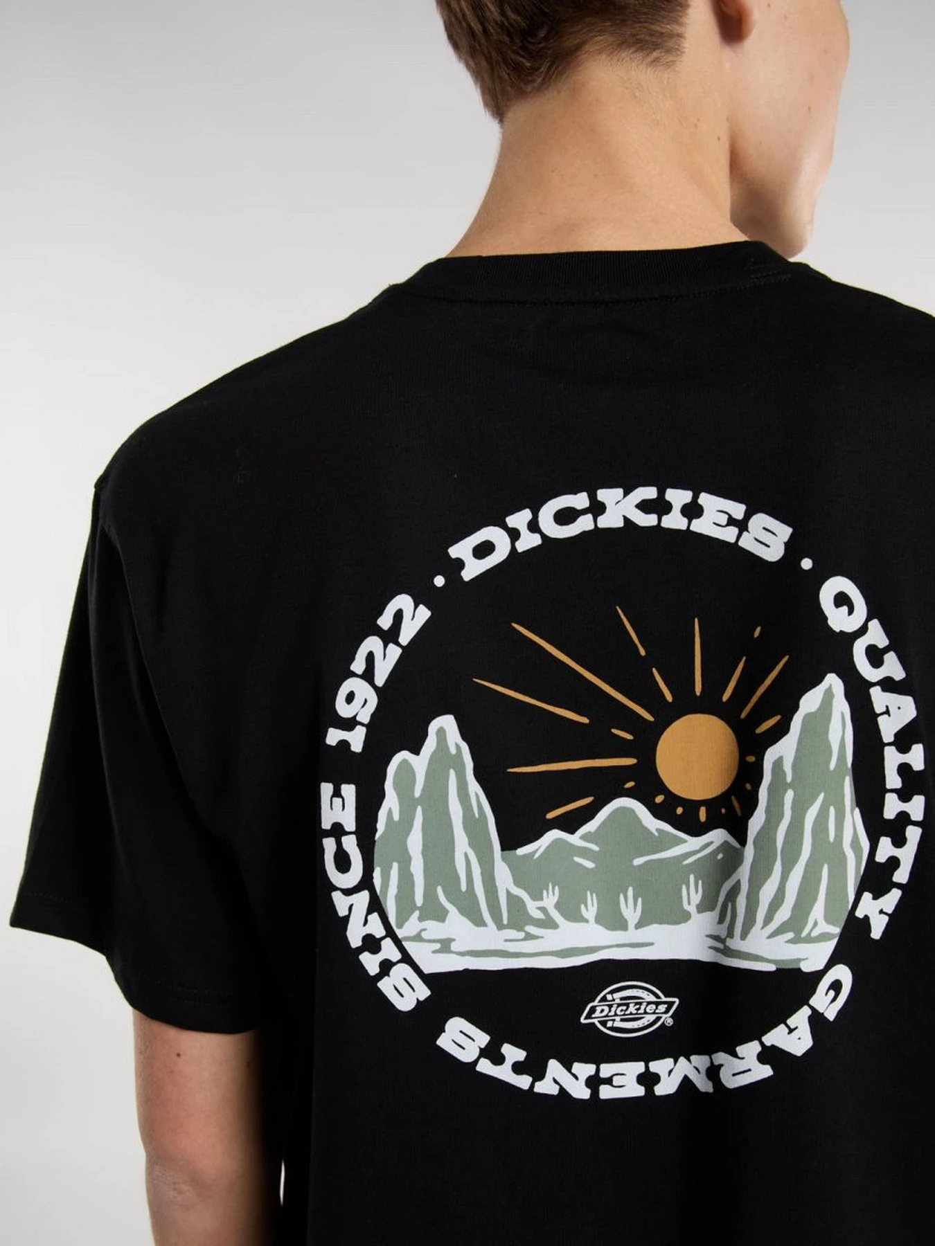 Футболки і поло Dickies Outdoor модель DK0A4Z8PBLK1 Футболки і поло Dickies Outdoor модель DK0A4Z8PBLK1 Фото