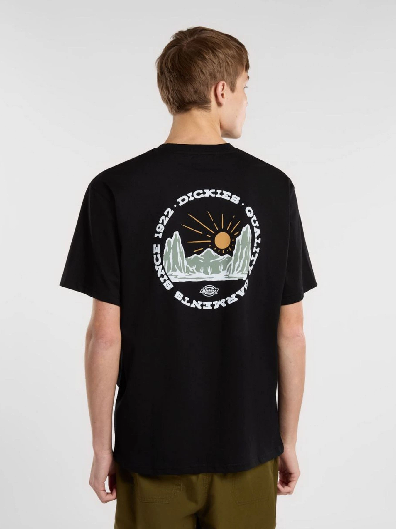 Футболки і поло Dickies Outdoor модель DK0A4Z8PBLK1 Футболки і поло Dickies Outdoor модель DK0A4Z8PBLK1 Фото