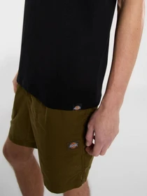 Футболки і поло Dickies Outdoor модель DK0A4Z8PBLK1 Фото